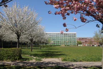 Schöne 3-R-Wohnung im 2. Geschoss zu vermieten, 06406 Bernburg, Wohnung