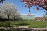 Schöne 3-R-Wohnung im 2. Geschoss - Bild